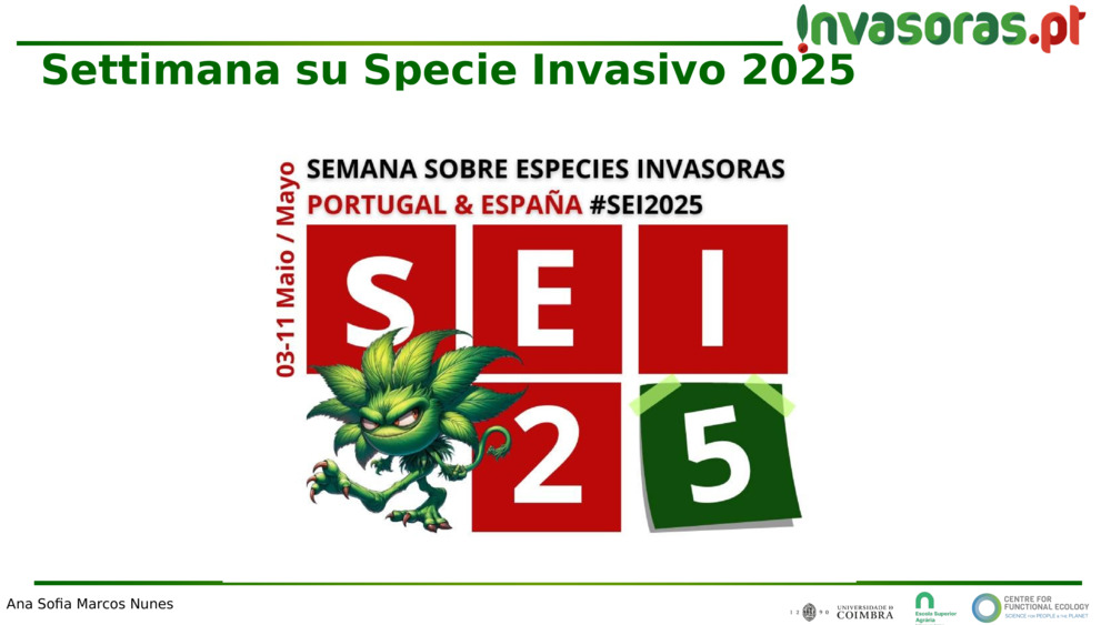 Settimana