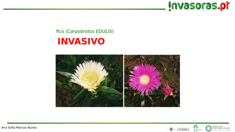 INVASIVO