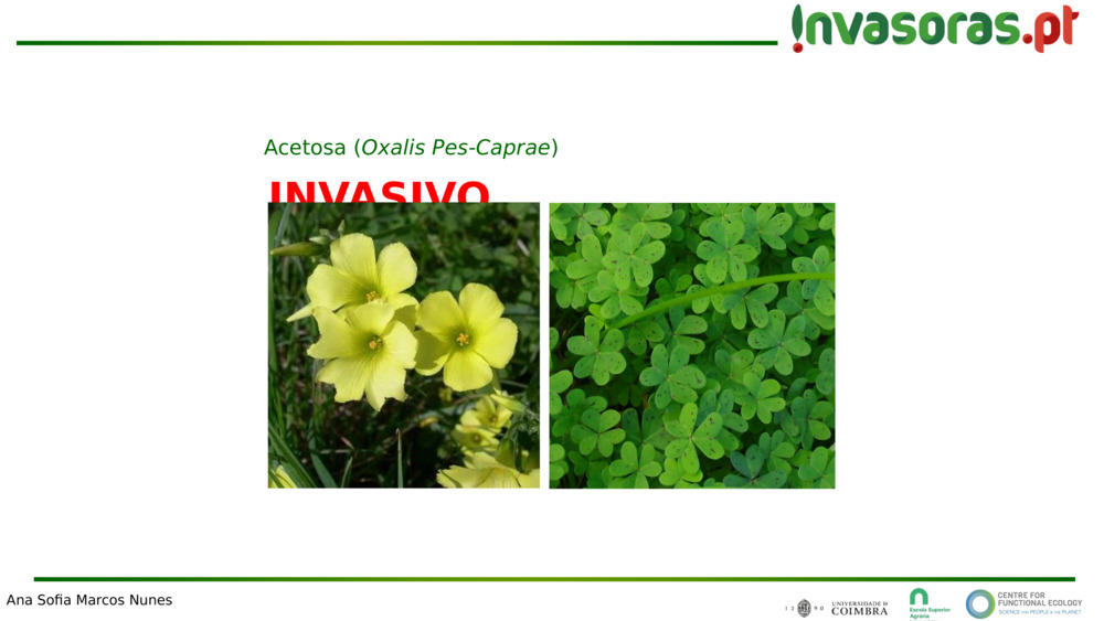 INVASIVO