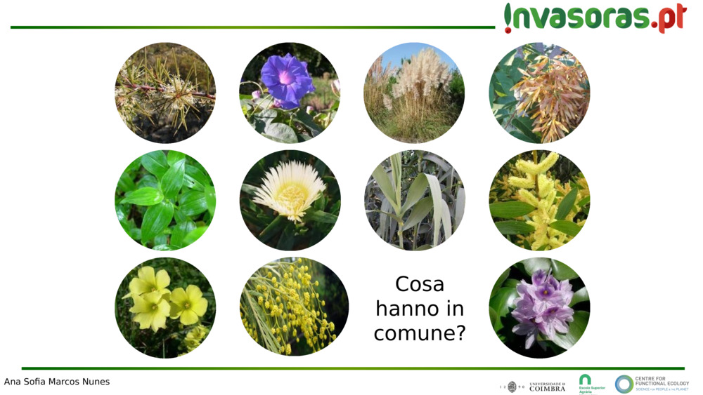 Cosa hanno in comune?