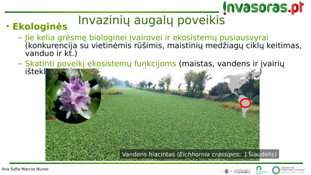  Ekologinės