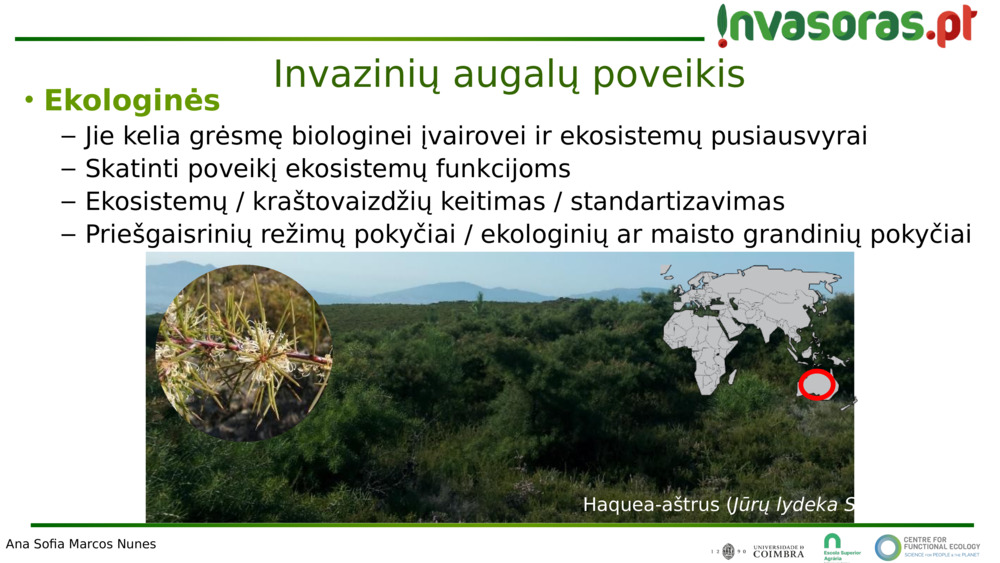 Invazinių augalų poveikis 