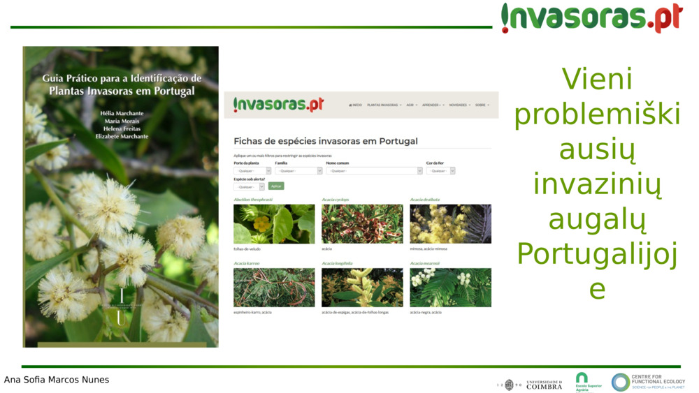 Vieni problemiškiausių invazinių augalų Portugalijoje
