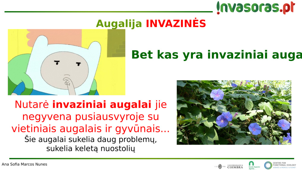 Nutarė 