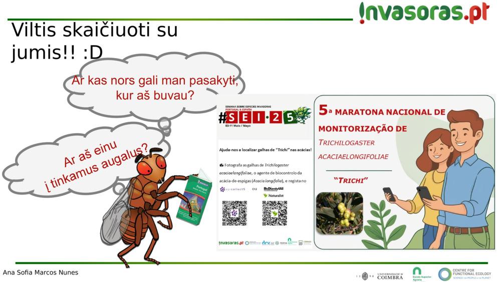 Viltis