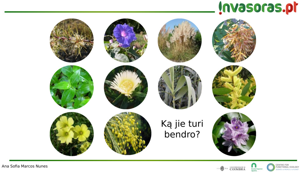 Ką jie turi bendro?