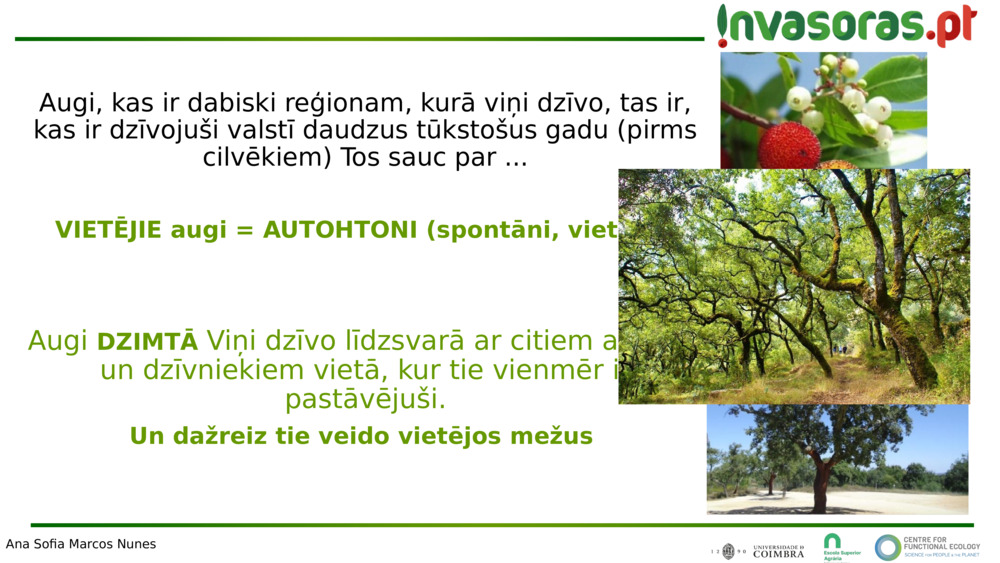 Augi, kas ir dabiski reģionam, kurā viņi dzīvo, tas ir, kas ir dzīvojuši valstī daudzus tūkstošus gadu (pirms cilvēkiem) 