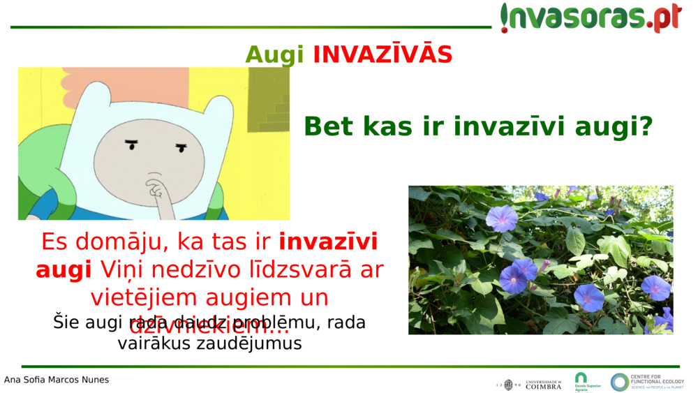 Es domāju, ka tas ir 
