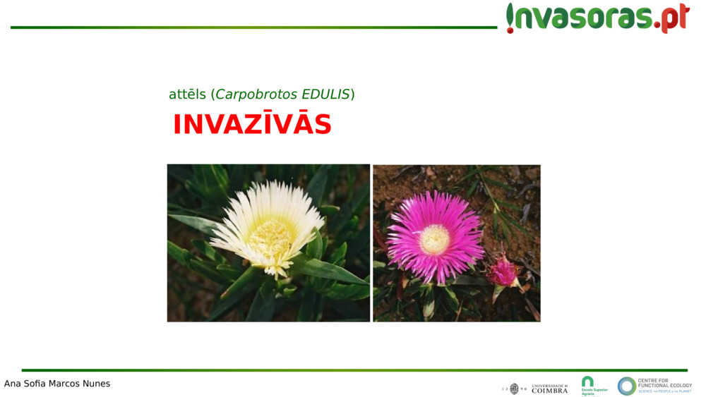 INVAZĪVĀS
