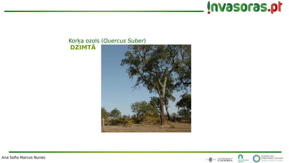 DZIMTĀ