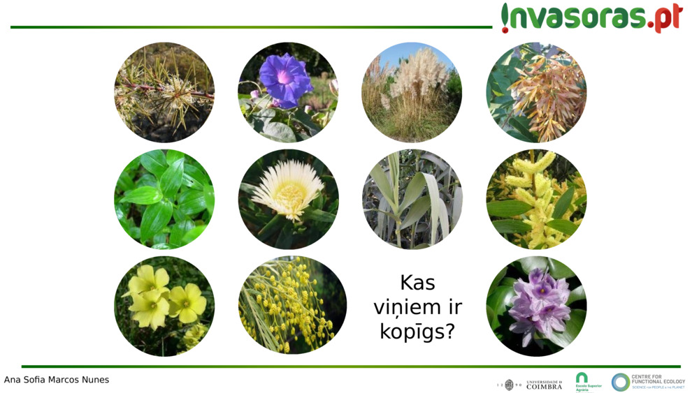 Kas viņiem ir kopīgs?