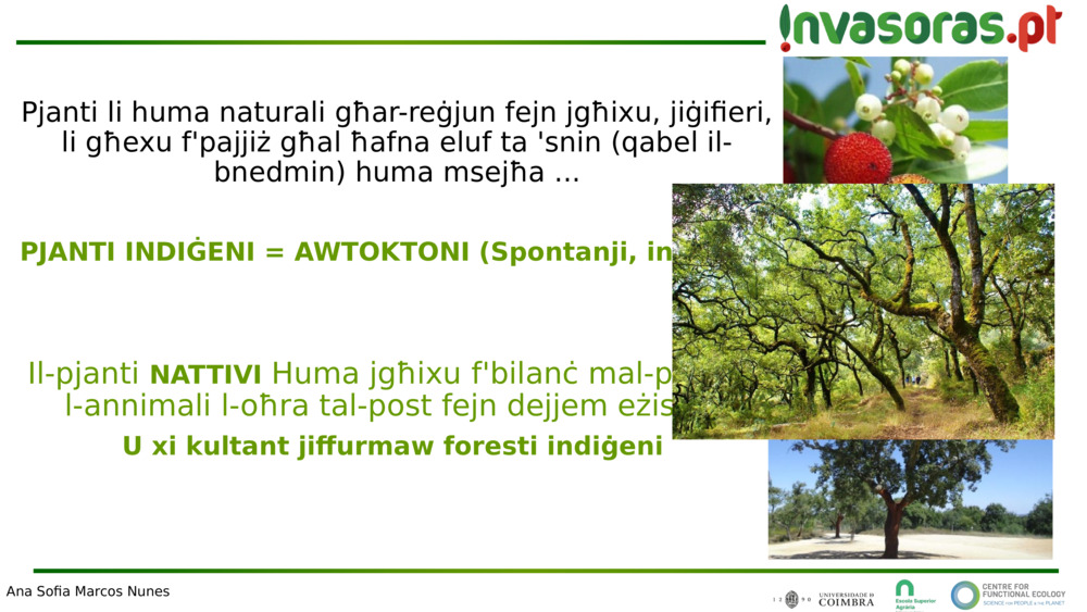 Pjanti li huma naturali għar-reġjun fejn jgħixu, jiġifieri, li għexu f'pajjiż għal ħafna eluf ta 'snin (qabel il-bnedmin) 