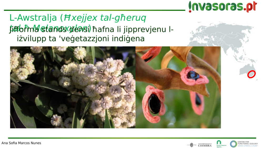 L-Awstralja (