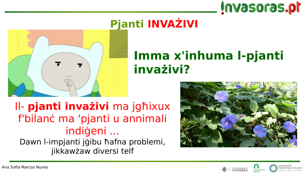 Il- 