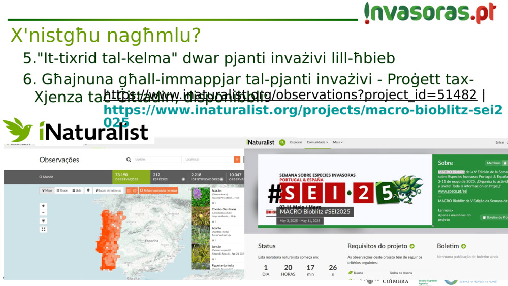 "It-tixrid tal-kelma" dwar pjanti invażivi lill-ħbieb