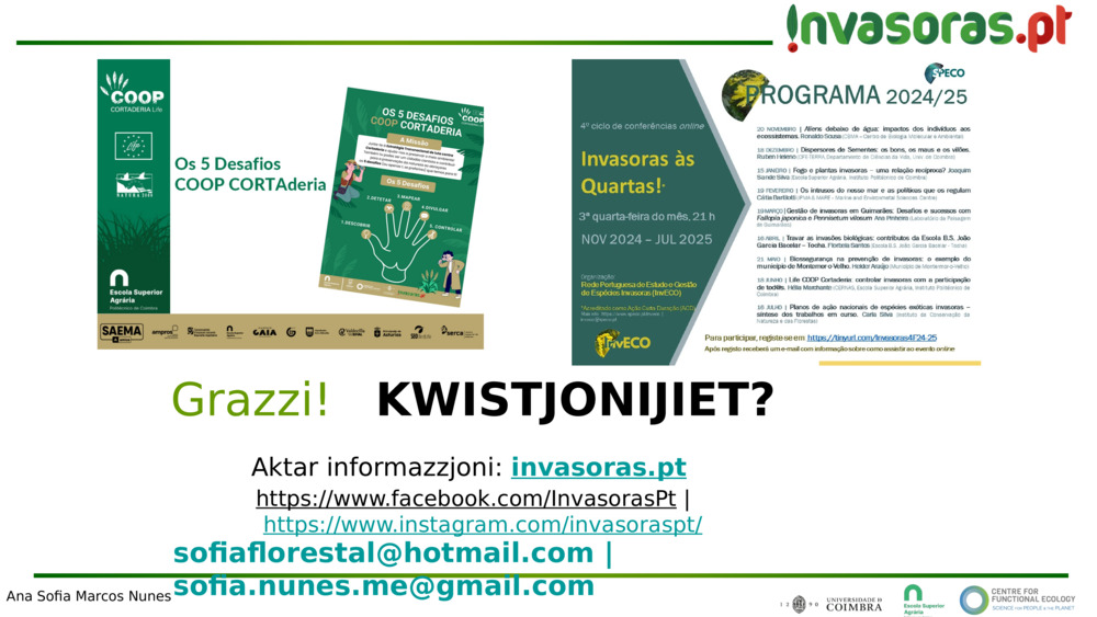 Grazzi!   