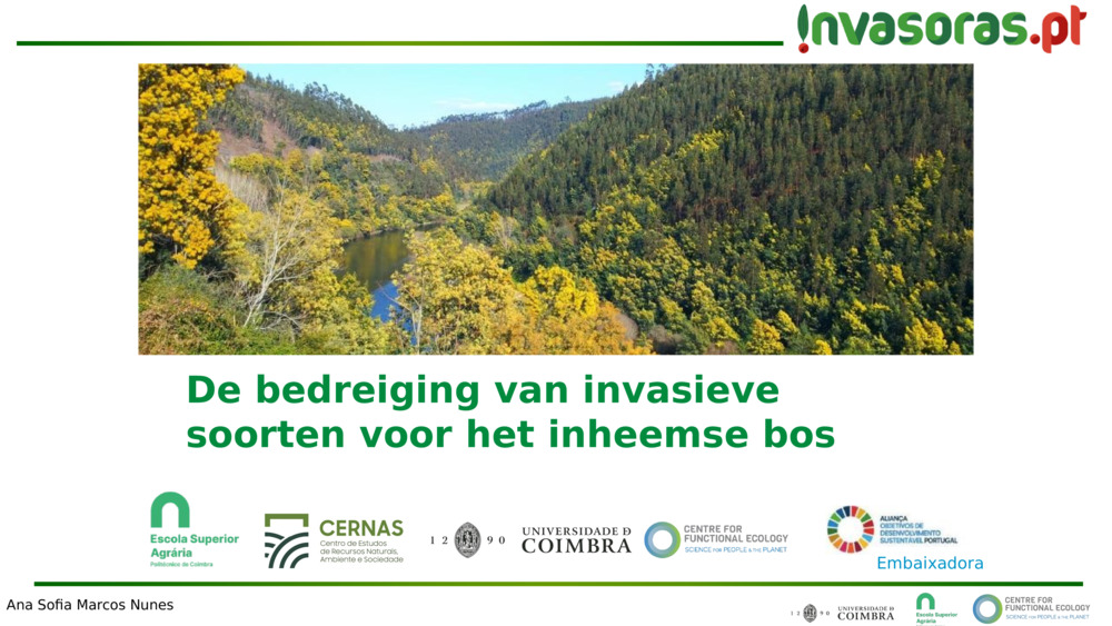 De bedreiging van invasieve soorten voor het inheemse bos