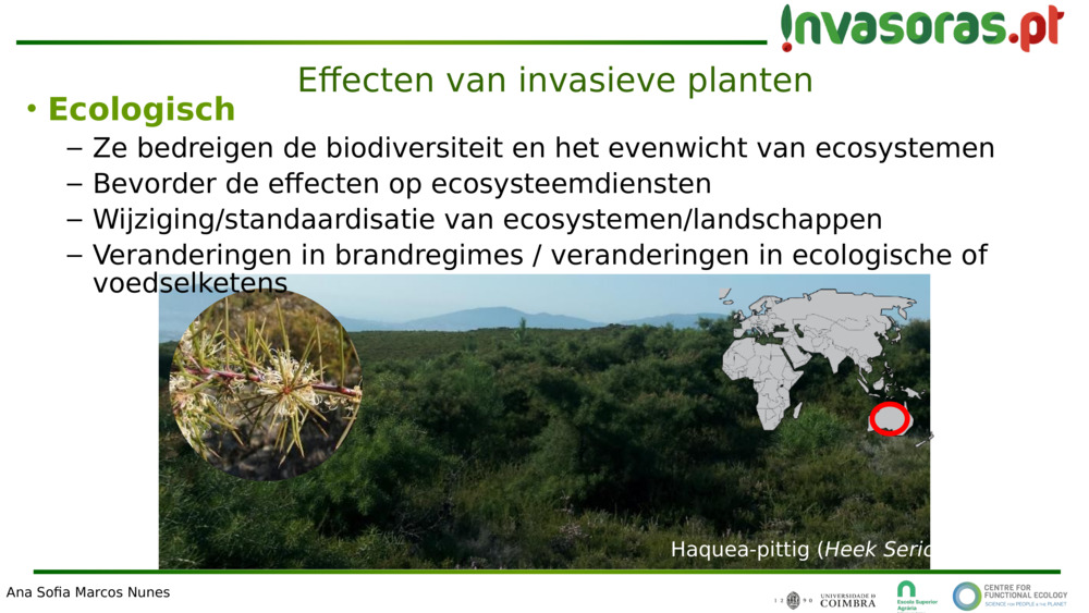 Effecten van invasieve planten 