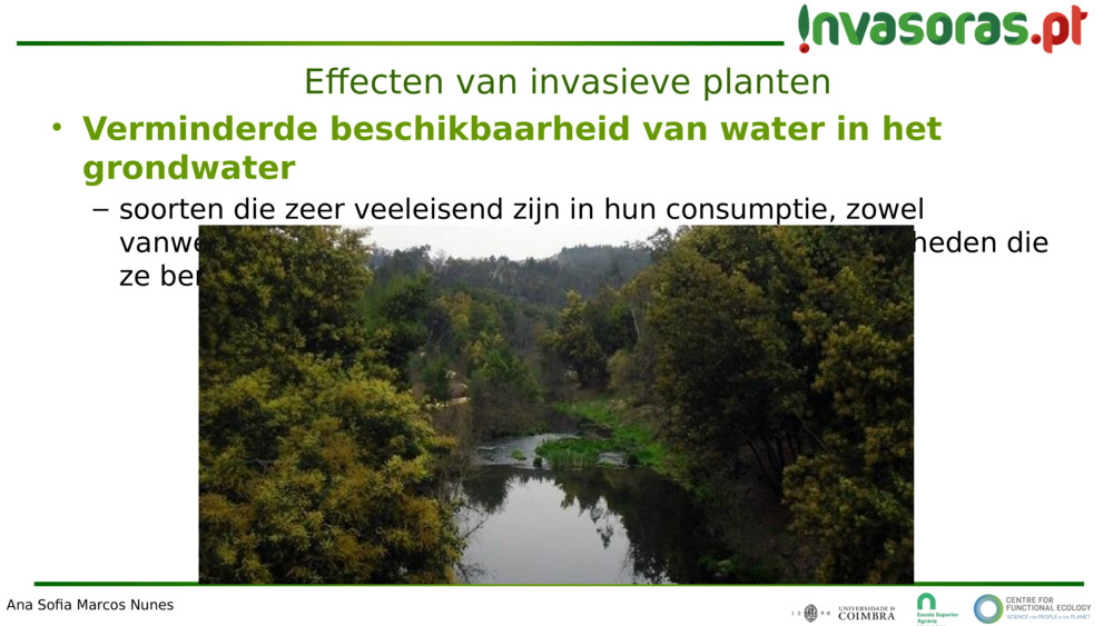 Verminderde beschikbaarheid van water in het grondwater