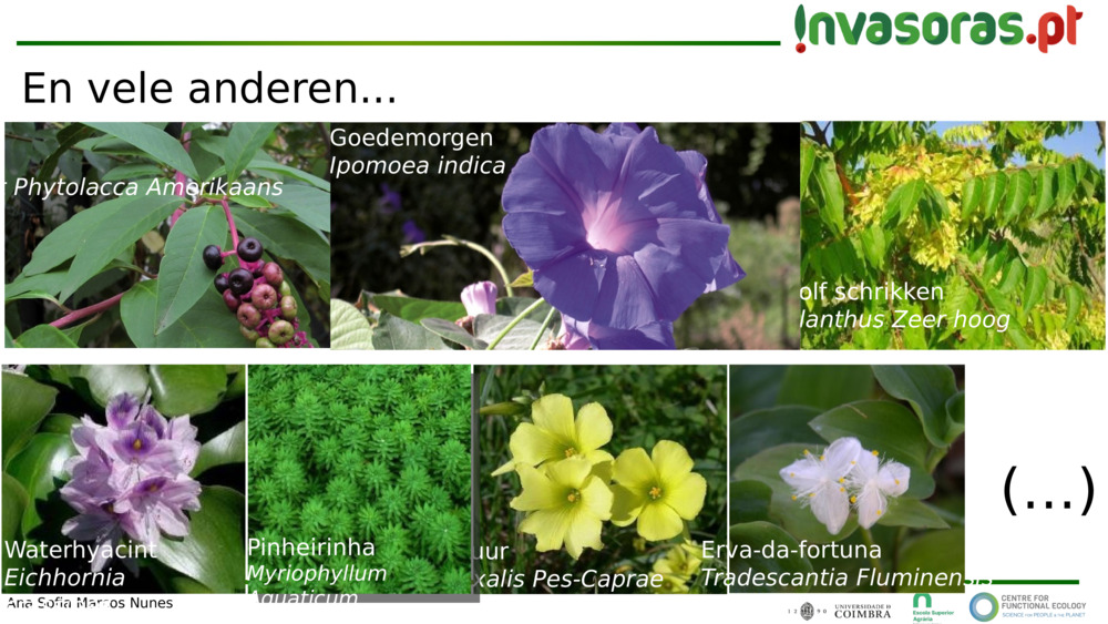 En vele anderen...