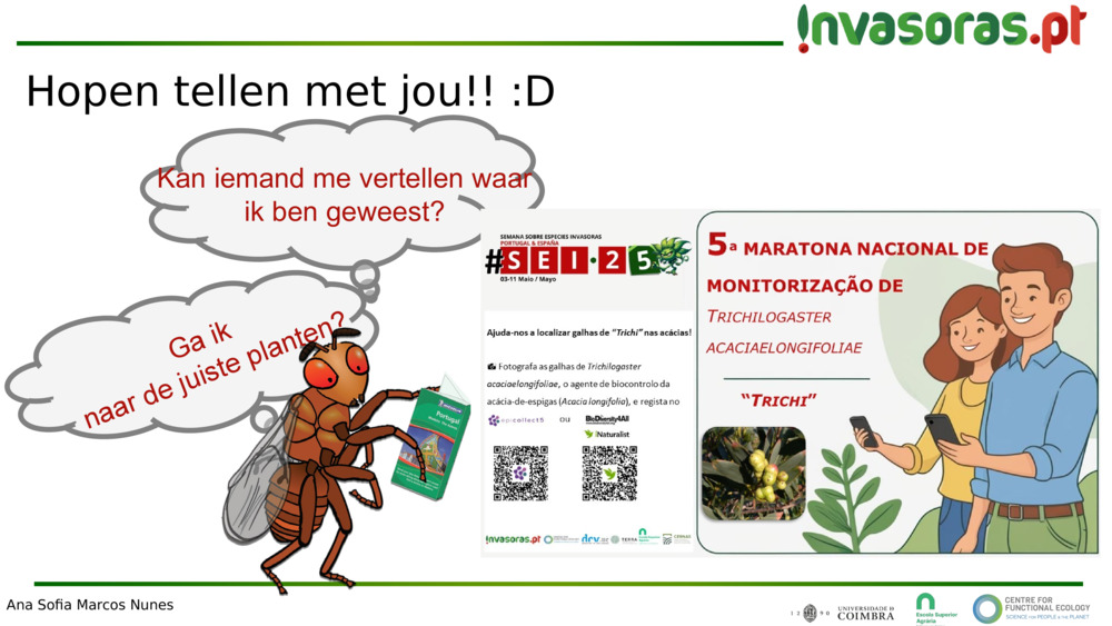 Hopen