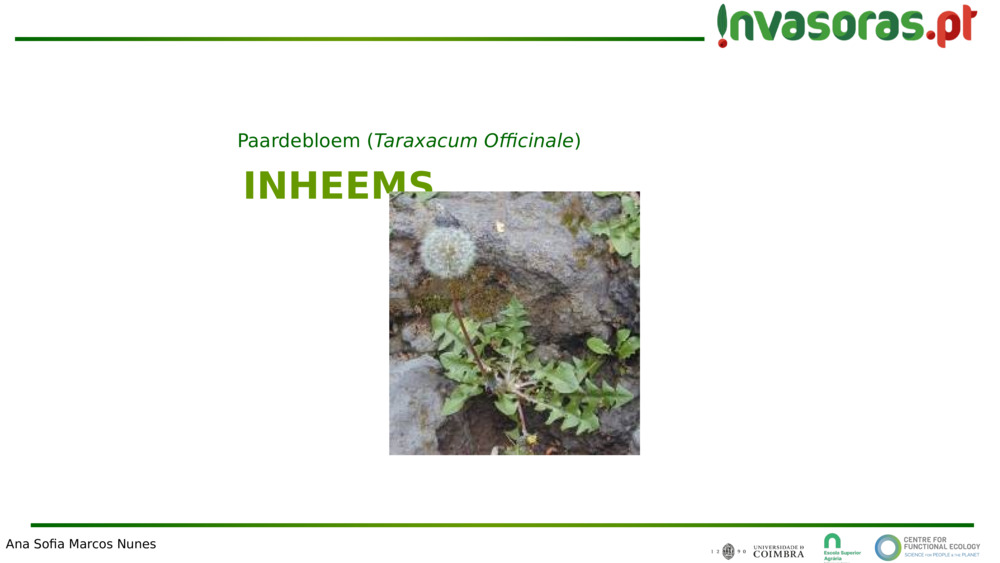 INHEEMS