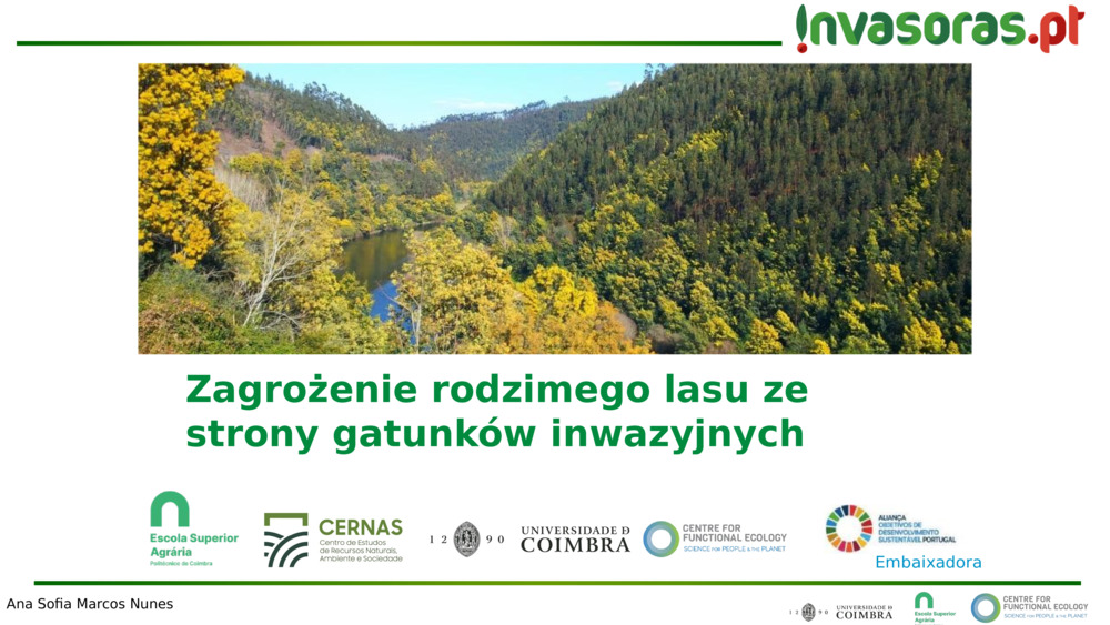 Zagrożenie rodzimego lasu ze strony gatunków inwazyjnych