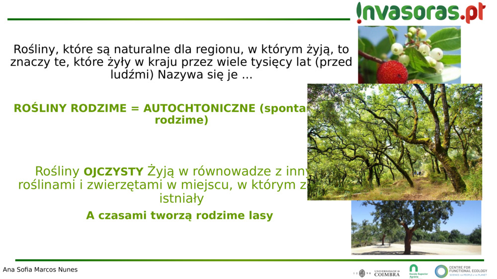 Rośliny, które są naturalne dla regionu, w którym żyją, to znaczy te, które żyły w kraju przez wiele tysięcy lat (przed ludźmi) 