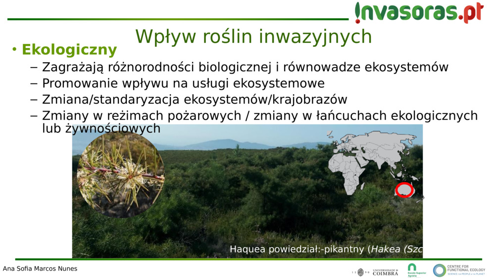 Wpływ roślin inwazyjnych 