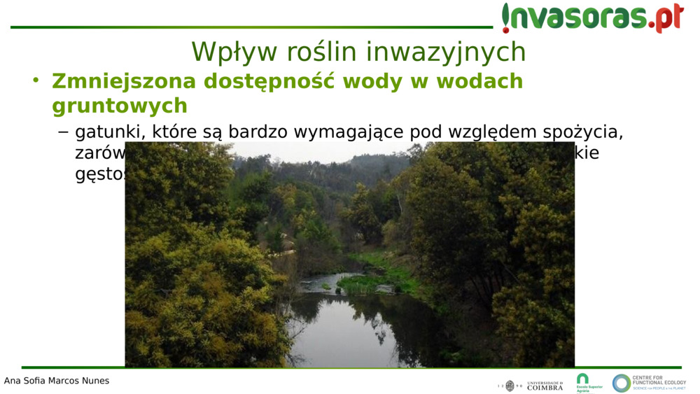 Zmniejszona dostępność wody w wodach gruntowych