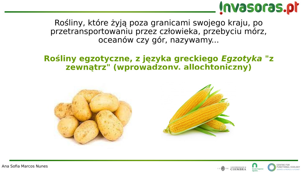 Rośliny, które żyją poza granicami swojego kraju, po przetransportowaniu przez człowieka, przebyciu mórz, oceanów czy gór, nazywamy...