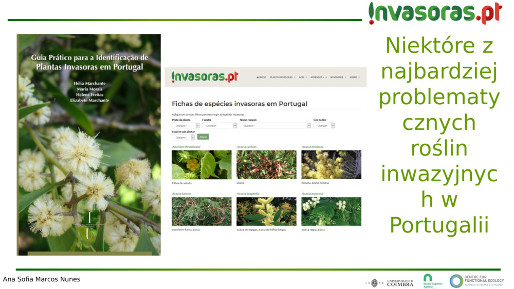 Niektóre z najbardziej problematycznych roślin inwazyjnych w Portugalii