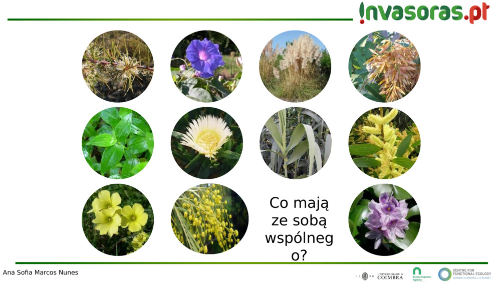 Co mają ze sobą wspólnego?