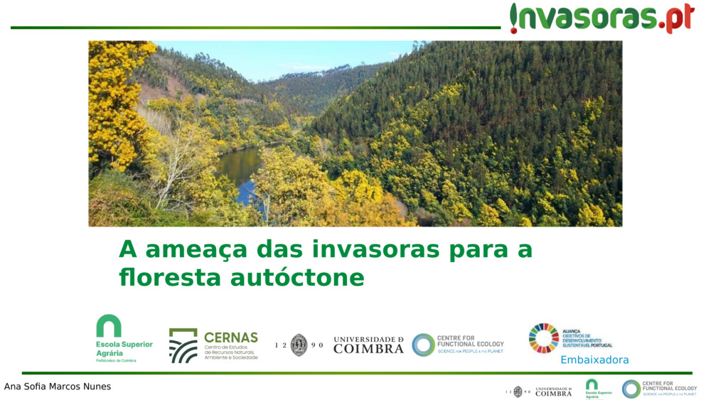 A ameaça das invasoras para a floresta autóctone