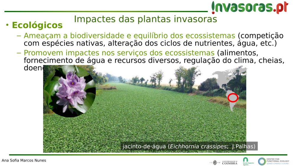  Ecológicos