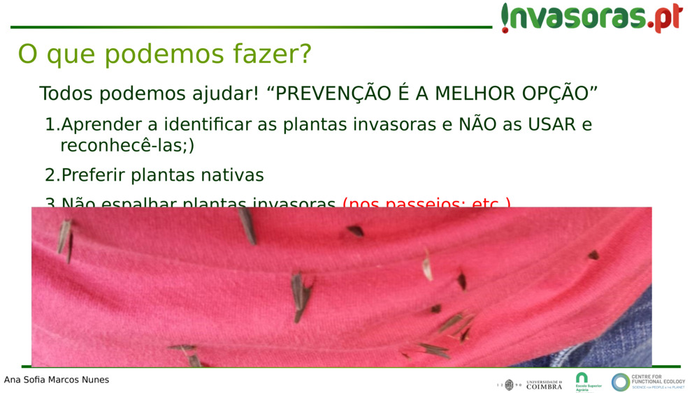 Todos podemos ajudar! “PREVENÇÃO É A MELHOR OPÇÃO”