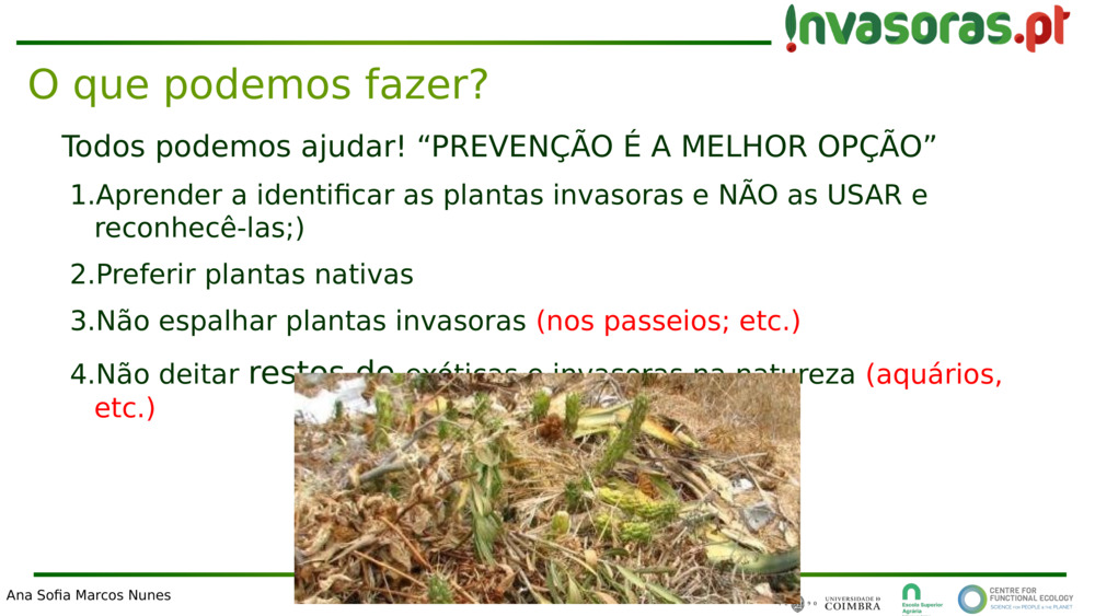 Todos podemos ajudar! “PREVENÇÃO É A MELHOR OPÇÃO”
