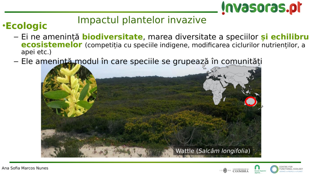 Impactul plantelor invazive 
