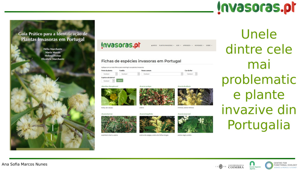 Unele dintre cele mai problematice plante invazive din Portugalia