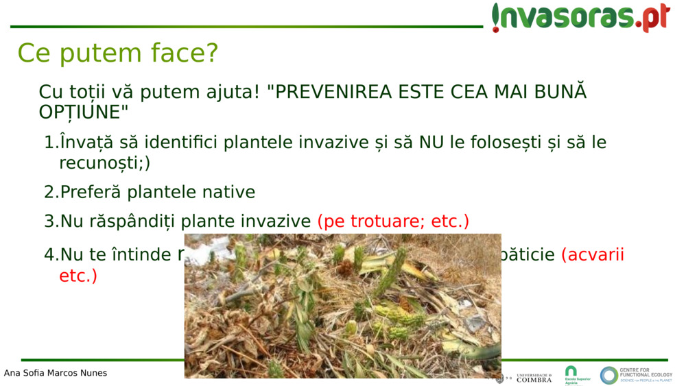 Cu toții vă putem ajuta! "PREVENIREA ESTE CEA MAI BUNĂ OPȚIUNE"
