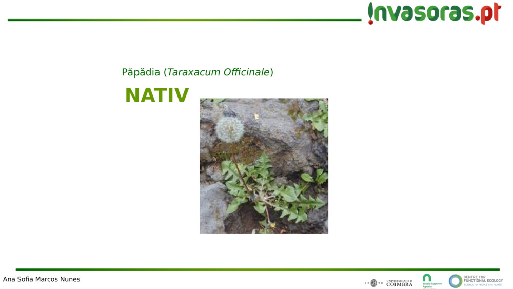 NATIV