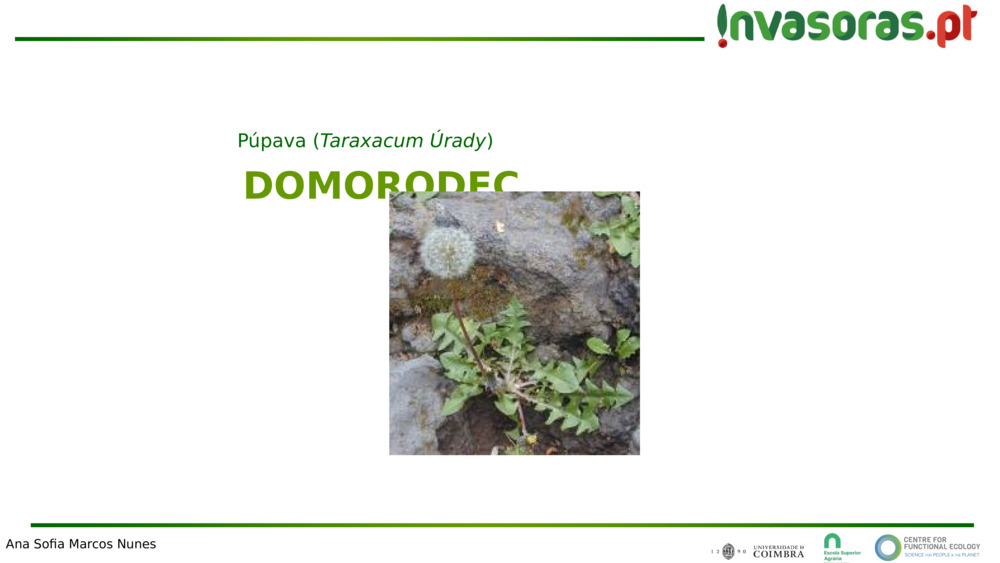 DOMORODEC