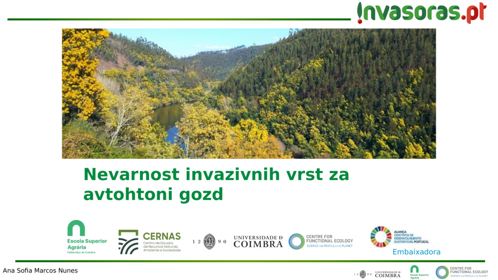 Nevarnost invazivnih vrst za avtohtoni gozd