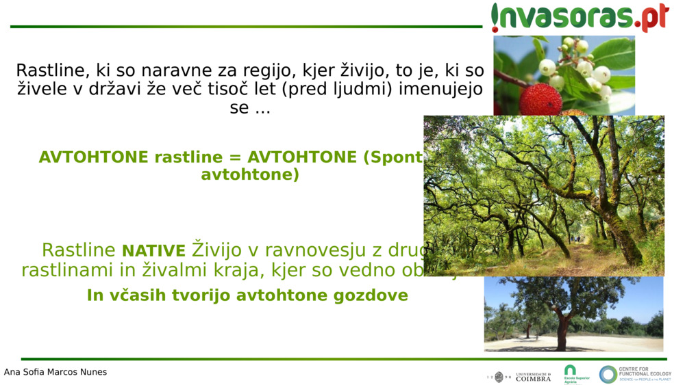 Rastline, ki so naravne za regijo, kjer živijo, to je, ki so živele v državi že več tisoč let (pred ljudmi) 