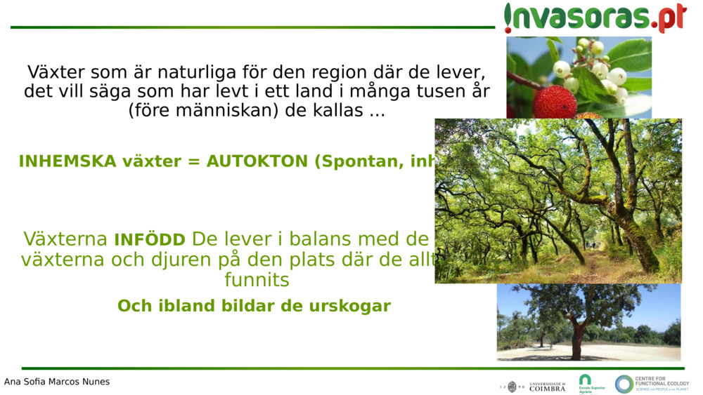 Växter som är naturliga för den region där de lever, det vill säga som har levt i ett land i många tusen år (före människan) 