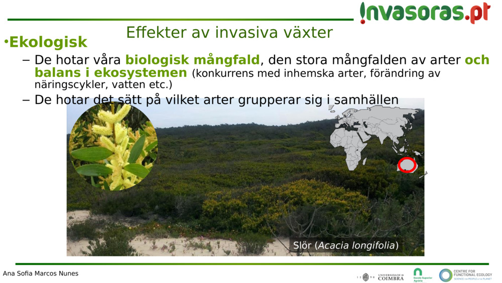 Effekter av invasiva växter 
