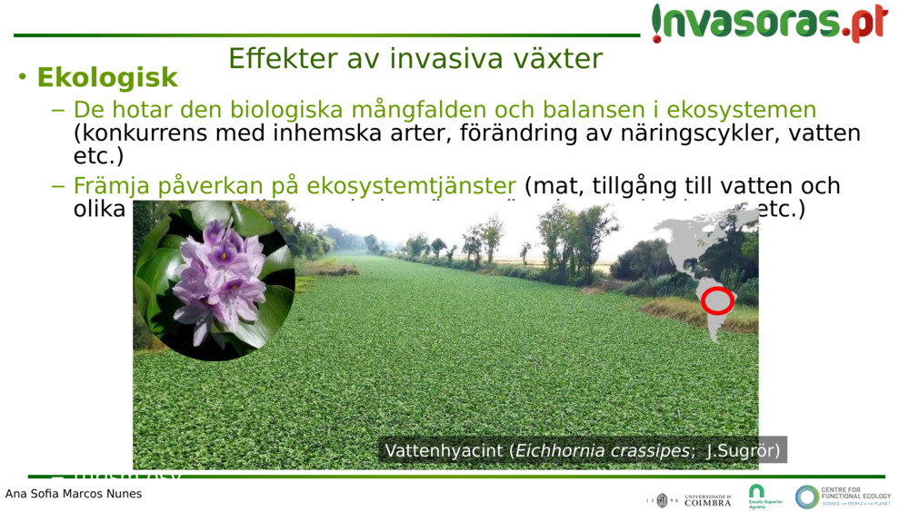  Ekologisk