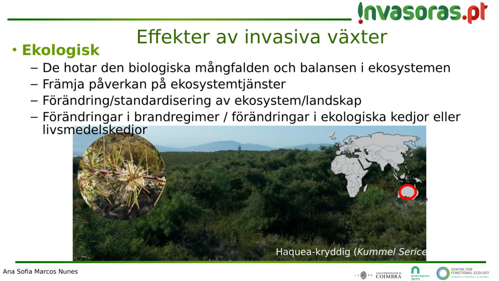 Effekter av invasiva växter 