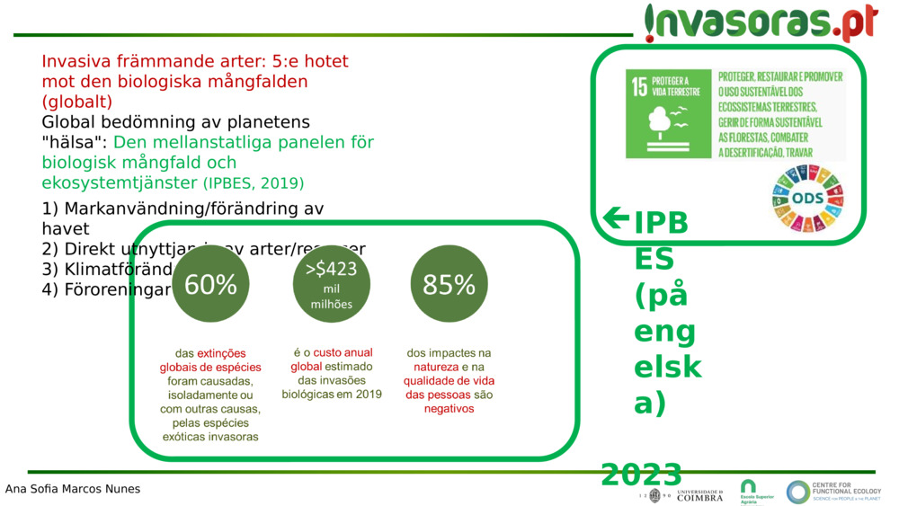 Invasiva främmande arter: 5:e hotet mot den biologiska mångfalden (globalt)