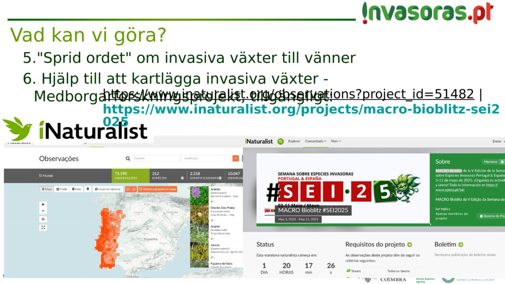 "Sprid ordet" om invasiva växter till vänner